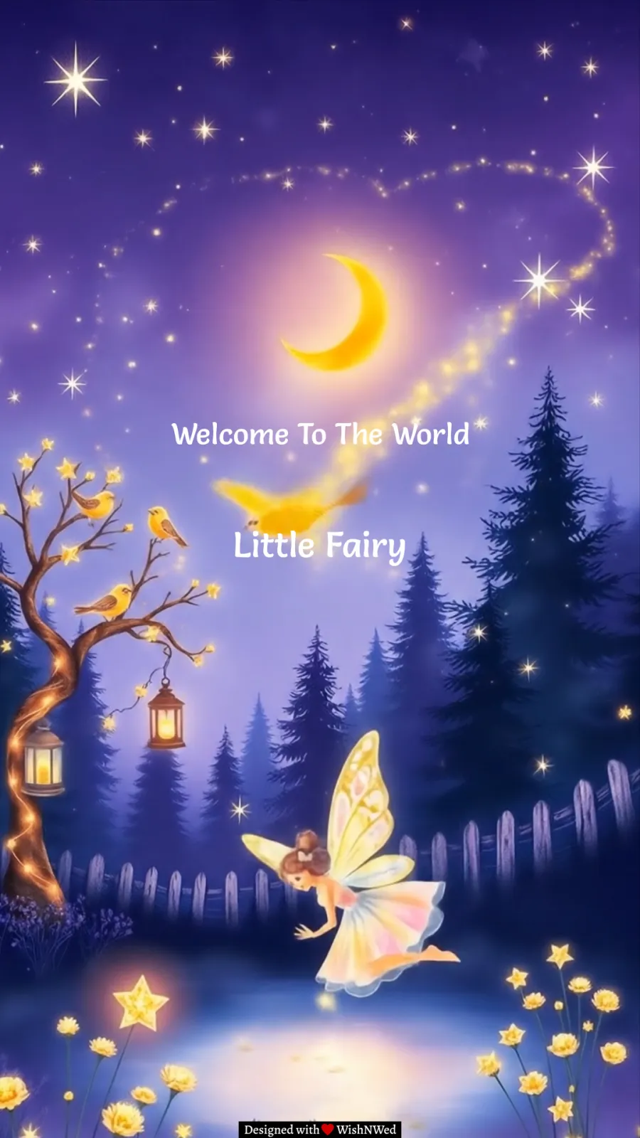 Fairy Theme Birth Announcement Video