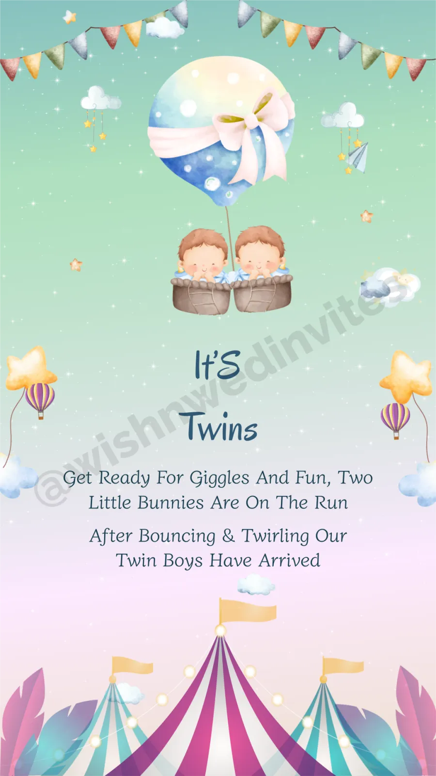 Twin Boys Birth Announcement Video