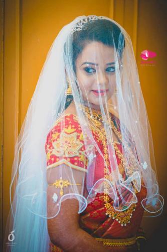 Vendor Photos